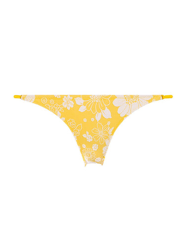 GEMMA - BOTTOM